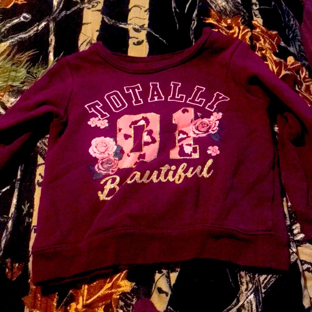 Garanimals 2t sweat suit